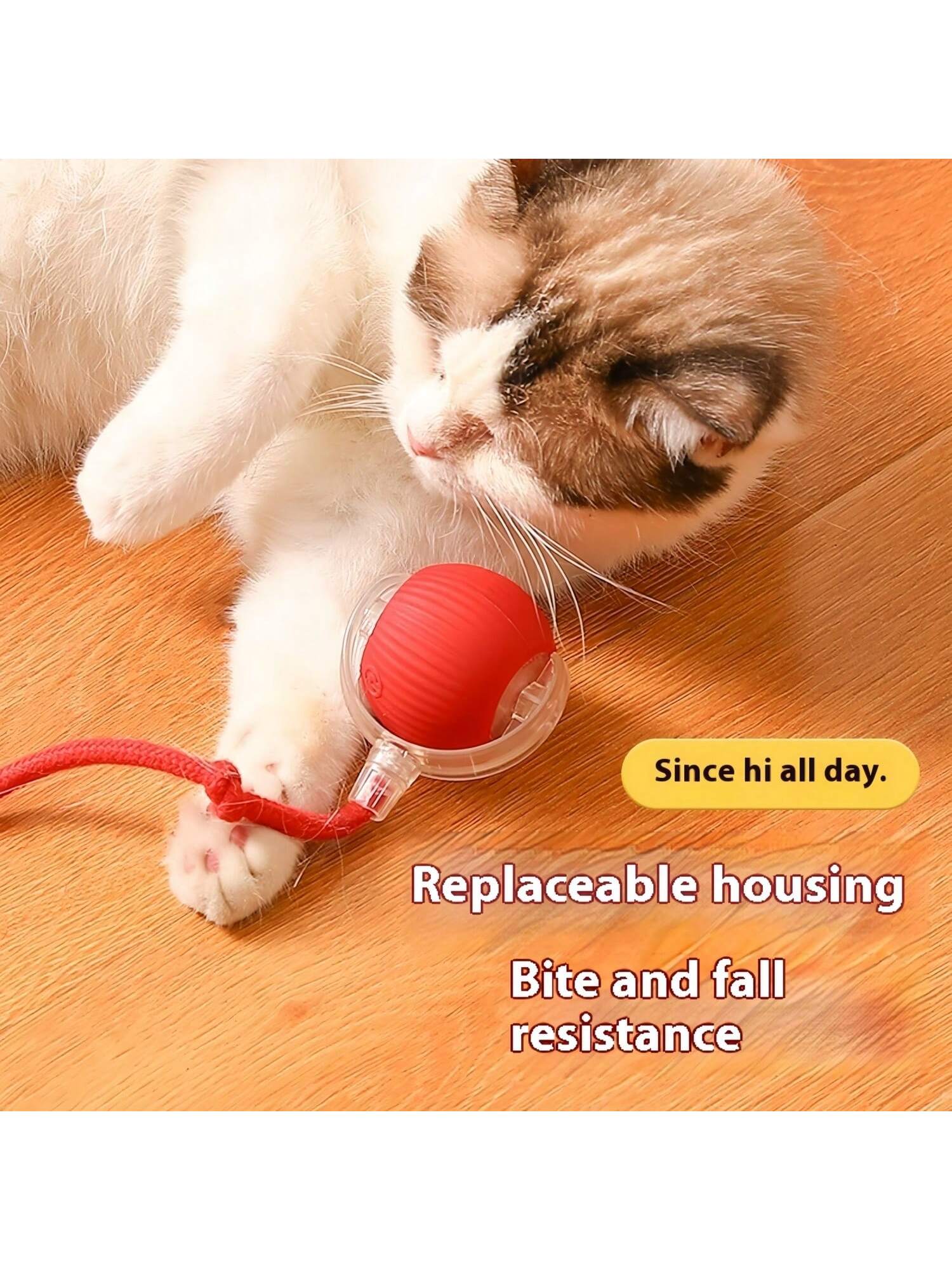 Rolling ball cat toy