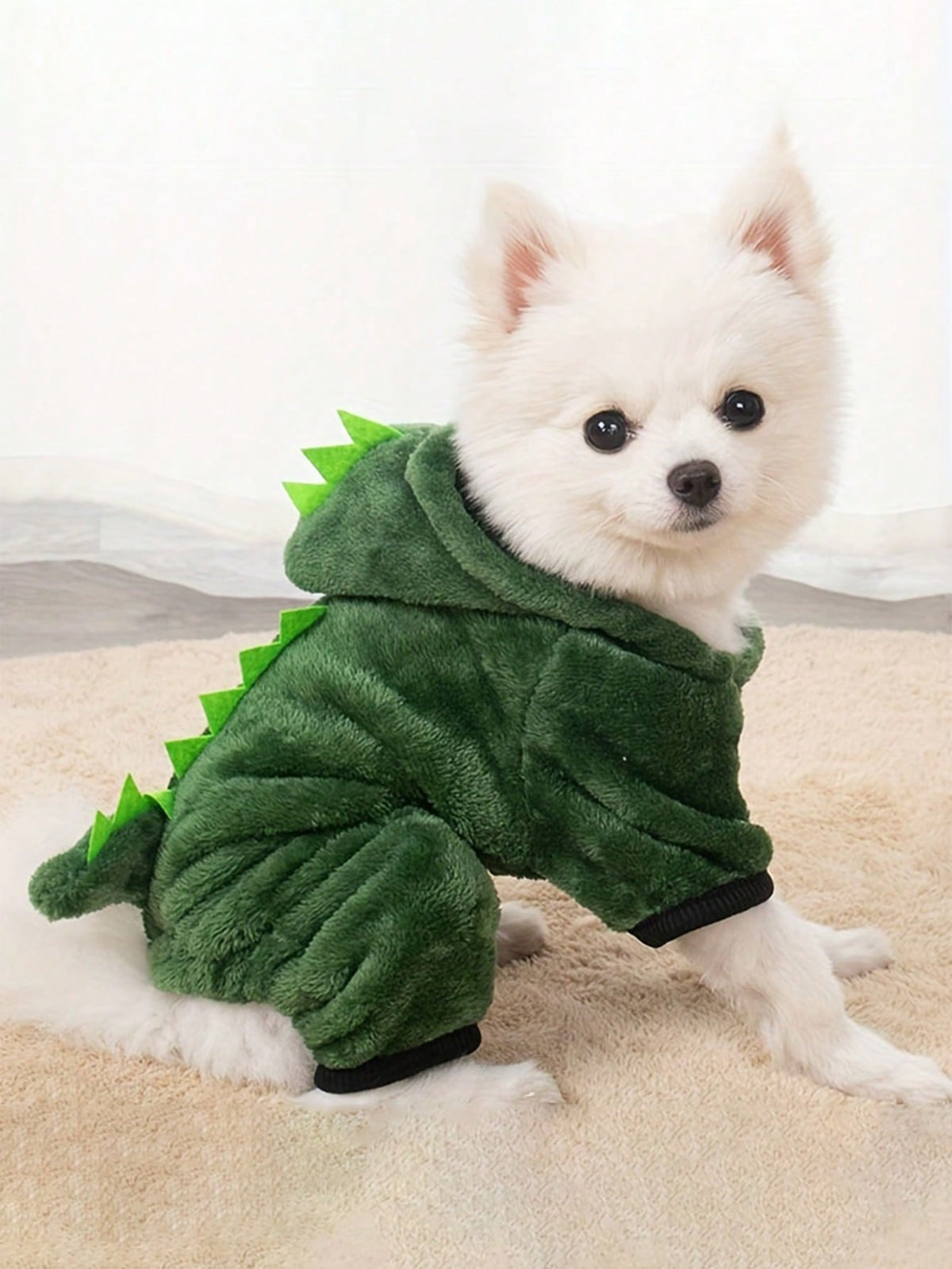 Dinosaur outfit for dogs