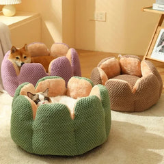 Best Dog Beds