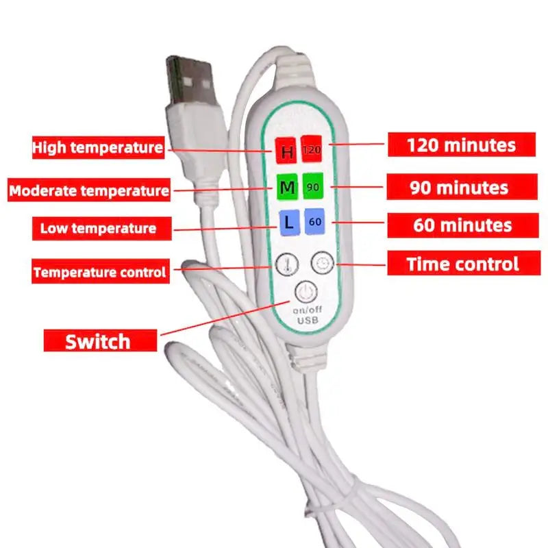 Electric Blanket