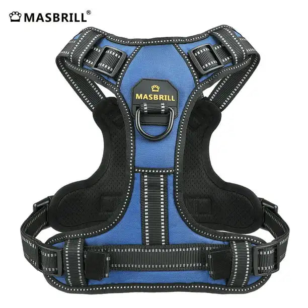 dog safety vest