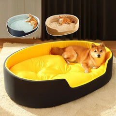 best dog bed