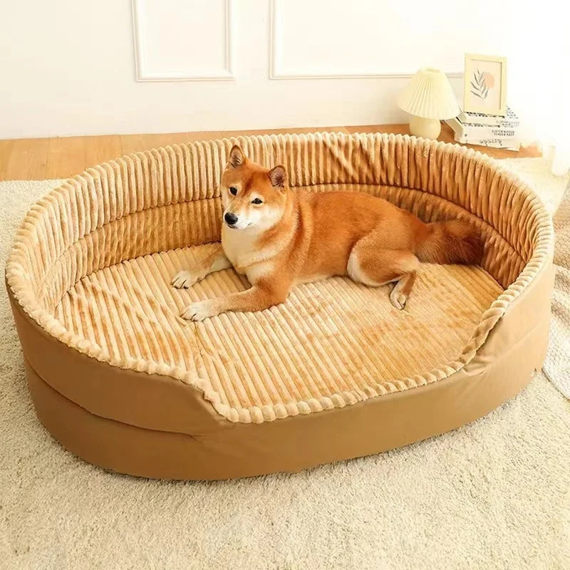 large dog bed