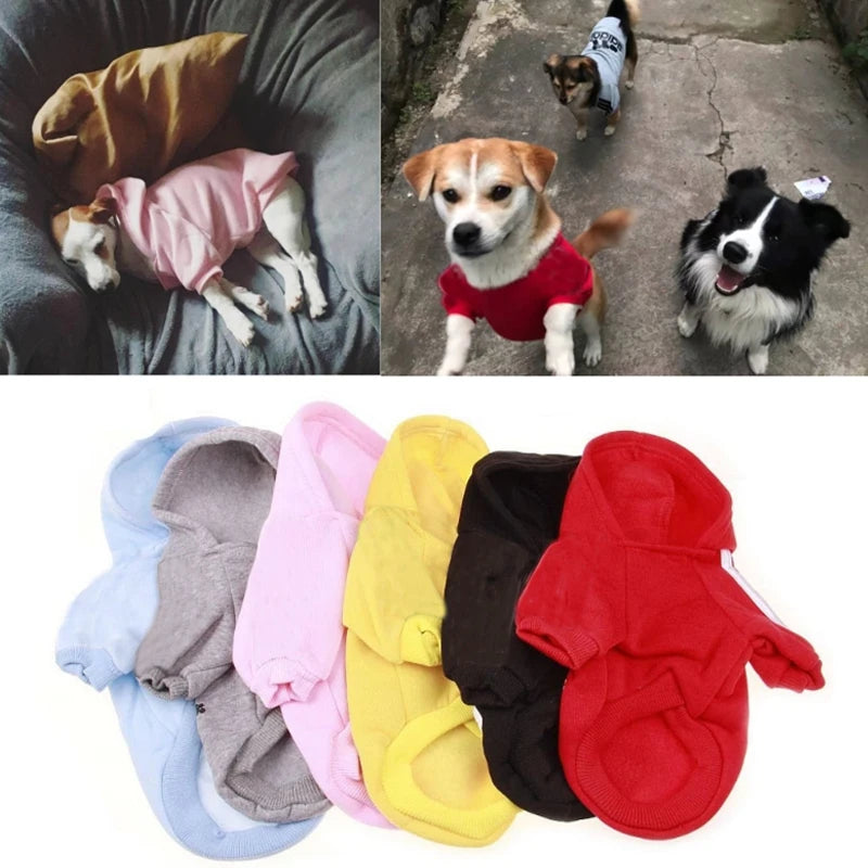 dog coats for large dogs