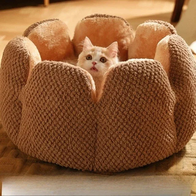 best cat bed