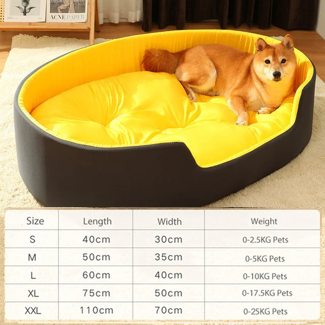 best dog bed