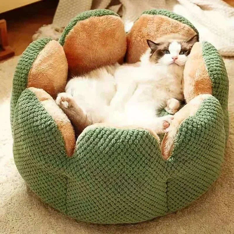 Best Cat Beds