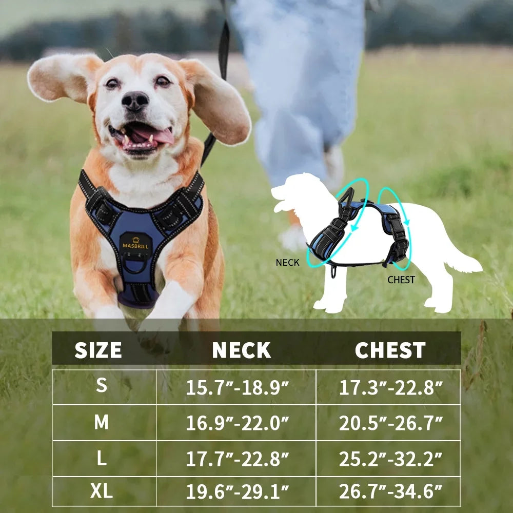 dog safety vest