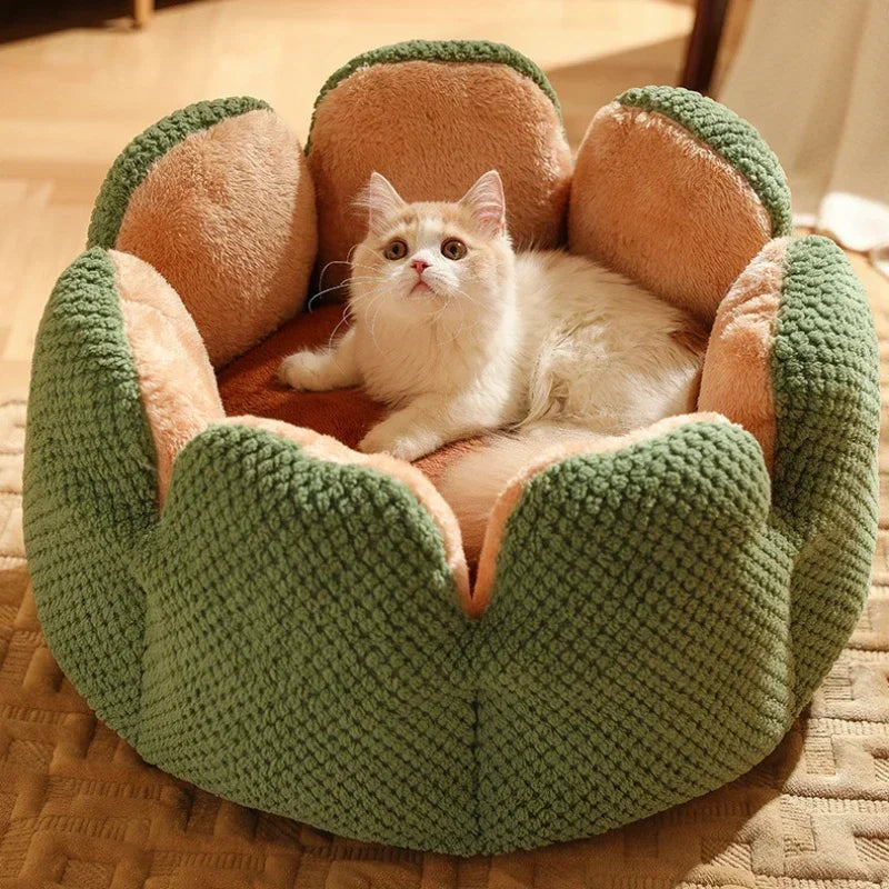  Cat Bed