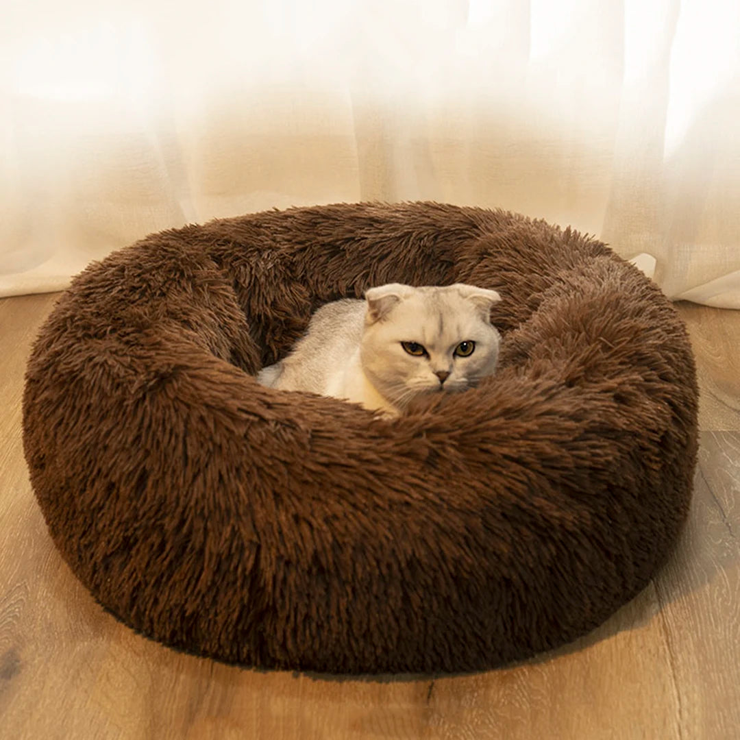 dog donut bed