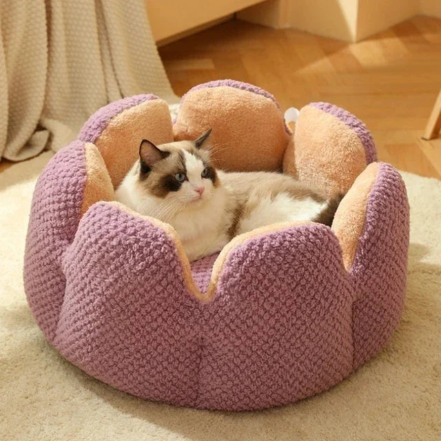 best cat bed