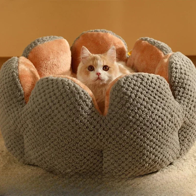 Best cat Beds