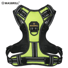 dog safety vest