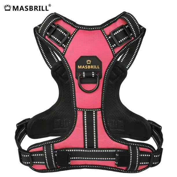 dog safety vest