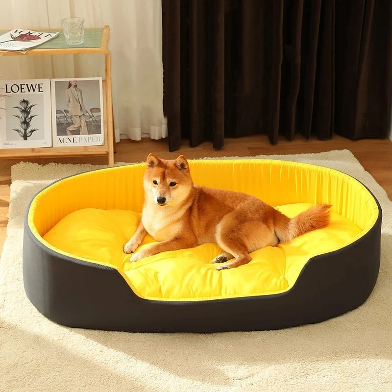 large dog bed