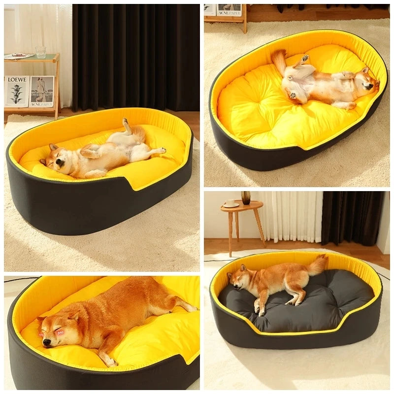 large dog bed