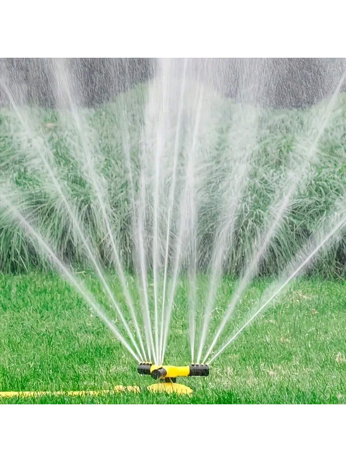 Watering tool for plants